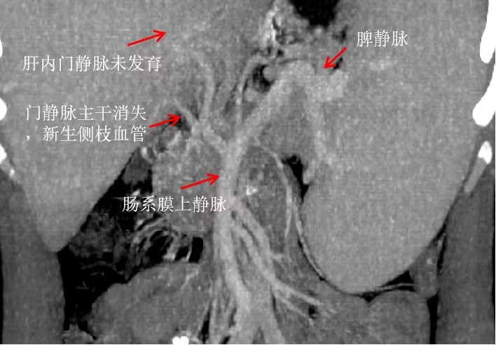 图片1(1).jpg