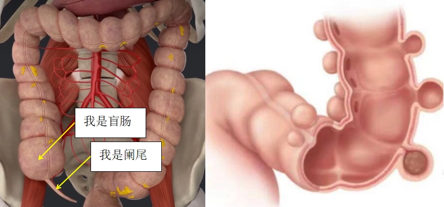 微信截图_20240722092234.png