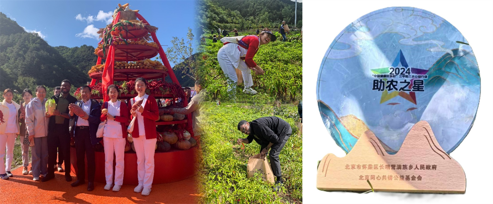 图片1_副本.png