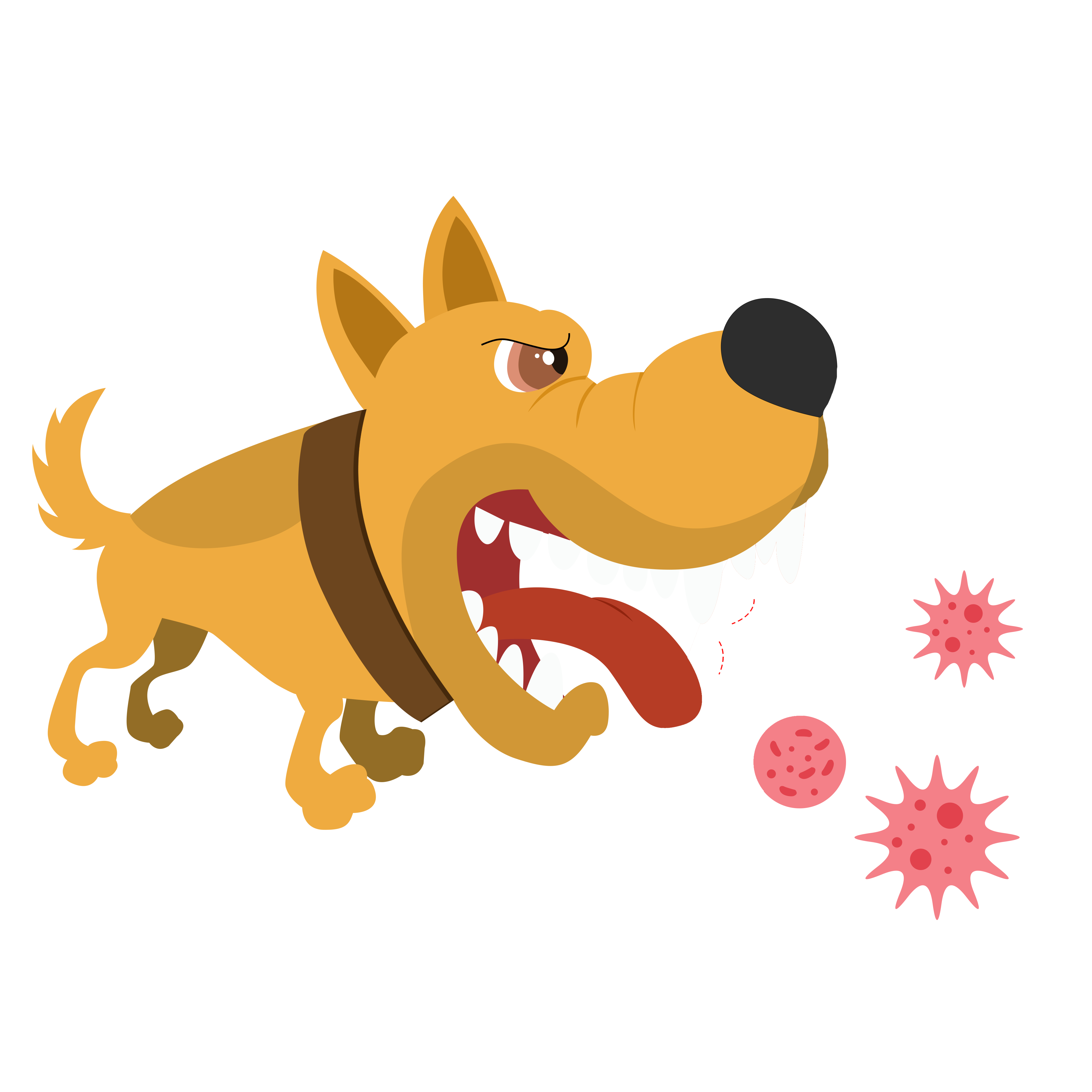 千库网_人染上狂犬病病毒过程扁平风_元素编号13455972.png