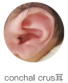 blob.png