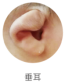 blob.png