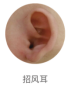 blob.png