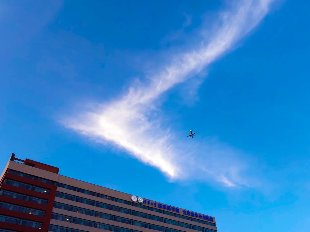 《晴空守安》陈凤灵 社区居民.jpg