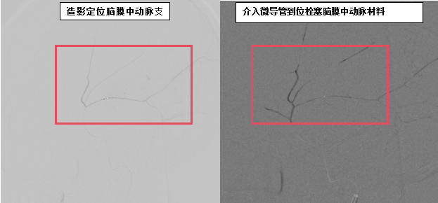 微信图片_20261010095959_226_85.png