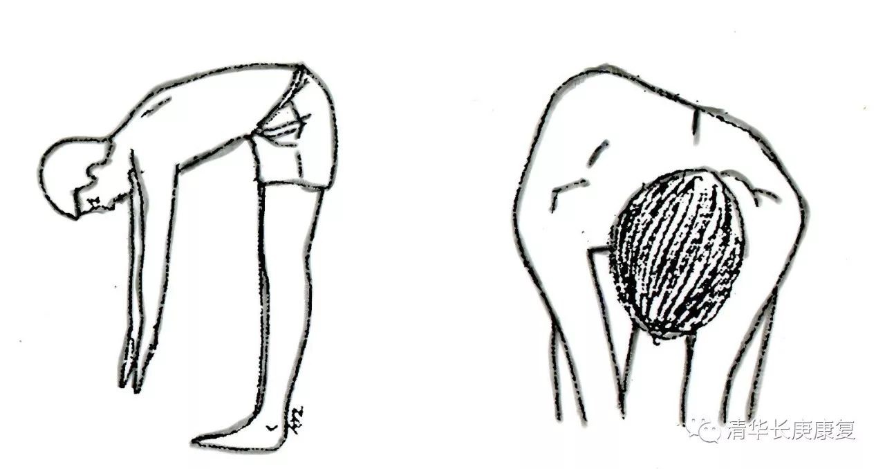 体前屈测量方法的图片图片
