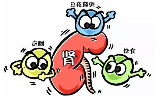 大量饮酒伤肾,你知道吗?