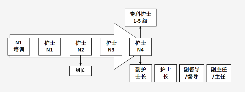 护士级别层级图片